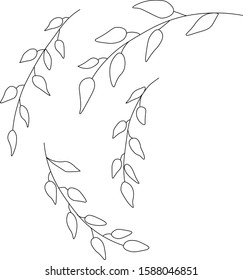 Botanical minimalism illustration  vector line art  leaflets on isolated white background. Cute single hand drawn herbal Twig. Floral sprig. Spring twig. Doodle vector illustration for wedding design