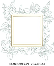 botanical minimalism line art leaves vector frame