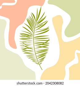 Botanical minimalist design. in delicate colors. Floral abstract template. the plant. An abstraction. vector.