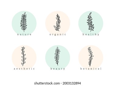 Botanical Minimalist Hand Drawn Floral Logo Elements Vector Set. Natural doodle branches with circle background, template story highlight icon for cosmetics, fashion, yoga.