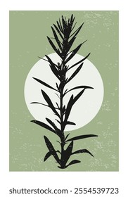 Botanical Minimalist Wall Art Poster