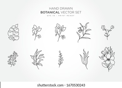 Botanical monoline elements vector set with transparent color background.