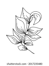 Botanical natural and minimal tropical leaves hand drawn isolated elements for print, cover, wallpaper and stories. Vector illustration