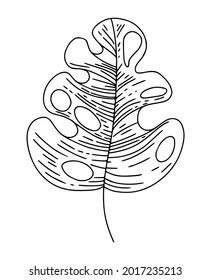 Botanical natural tropical leaves hand drawn isolated elements for print, cover, wallpaper and stories. Vector illustration