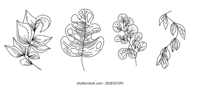 Botanical natural and tropical leaves set in hand drawn style isolated elements for print, cover, wallpaper and stories. Vector illustration