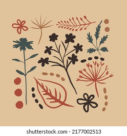 Botanical nature doodle elements abstract vintage vector illustration. Trendy hand drawn flower silhouette square card with floral blossom, leaf, branch, circle 