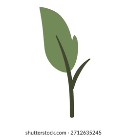 Clipart de fondo aislado de Diseño gráfico de elemento de Naturaleza botánica