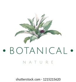Botanical nature logo design vector
