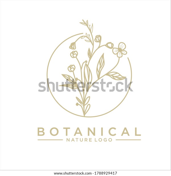 Botanical Nature Logo Flower Leaf Simple Stock Vector (Royalty Free ...