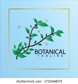 Vector de logotipo botánico y natural