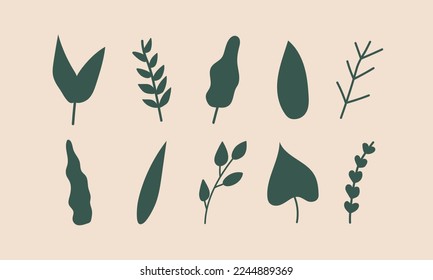 botanische Natur   Objekte moderne trendige Elemente Vektorgrafik abstrakte handgezeichnet verschiedene Formen und Doodles.
