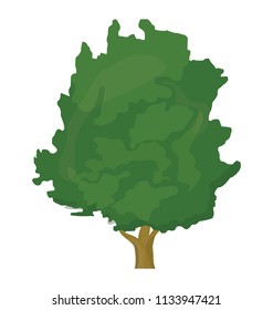 Walnut Tree Stock Vectors, Images & Vector Art | Shutterstock