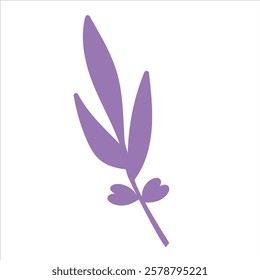 botanical on white background. Vector design element for Valentine's day.