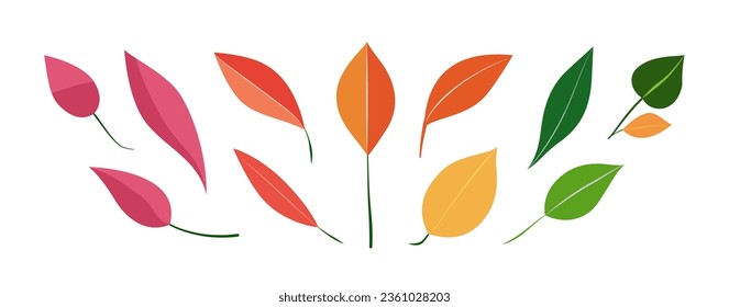 Botanical orange set, mixed color fall leaves collection. Greenery foliage plant for home arrangement, romantic floral design. Garden, office, patio, wedding decor. Nature, environment illustration