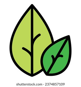 Botanical oregano icon outline vector. Leaf herb. Garden food color flat
