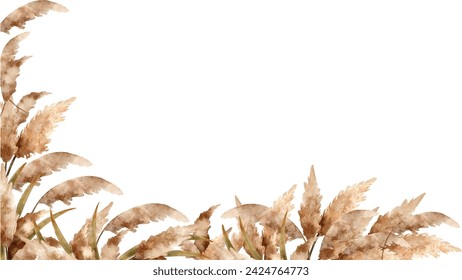 Botanical Painting: Dried Pampas Watercolor Illustration Capturing Natural Beauty
