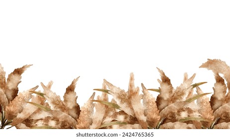 Botanical Painting: Dried Pampas Watercolor Illustration Capturing Natural Beauty