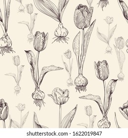 Botanical pattern in brown-gray contour on a beige background. Separate large and small flowers of tulips with bulbs. Spring theme in vintage style. Seamless pattern.