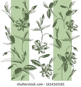 Botanical pattern of forest periwinkle flower. Background based on inflorescences, leaves and buds of delicate spring flowers on green vertical stripes