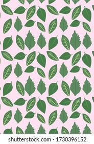 Botanical Pattern Illustration Background Art. seamless pattern. botanical illustration. botanical wallpaper. botanical vector. illustration
