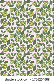 Botanical Pattern Illustration Background Art. botanical illustration. botanical wallpaper. botanical vector. illustration
