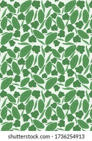 Botanical Pattern Illustration Background Art. botanical illustration. botanical wallpaper. botanical vector. illustration
