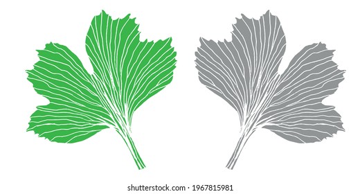 Botanical pattern print ginkgo leaf green and gray