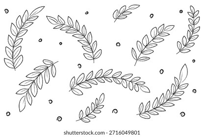 Botanisches Muster zeigt zarte Blätter und Wirbel auf weißem Hintergrund und schafft ein elegantes und organisches Design, das perfekt für verschiedene kreative Projekte wie Hochzeitseinladungen oder Branding geeignet ist.