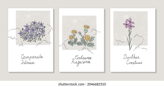 Botanical pattern with six Croatian endemic flowers. Texture retro pattern for cottagecore style interior.