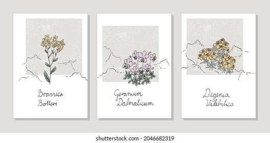 Botanical pattern with six Croatian endemic flowers. Texture retro pattern for cottagecore style interior.