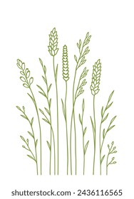 botanical pattern of wild sheaf and flowers silhouettes, branches and spikelet, field plants and herbs with leaves, flowers, native grass, decorative design elements