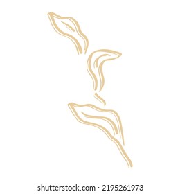 Botanical plant abstract hand drawn