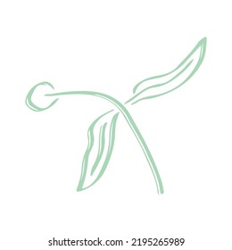Botanical plant abstract hand drawn