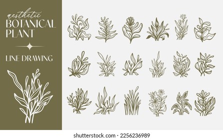 Botanical Plant Flower Monoline Line Art Line Drawing. Universal creative premium symbol. Vector illustration. Creative Minimal design template