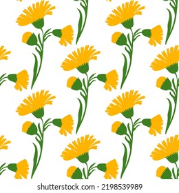 Botanical plant flowers dandelions seamless pattern vector illustration. Daisy branch with yellow flower on white background. Graphic design for greeting, banner, holiday, celebration, fashion, cover