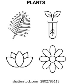 Botanical plant icon collection featuring palm frond, seedling in laboratory tube, lotus flower and daisy blossom in clean black outline style