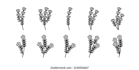 Botanical Plant Illustration-realated vector element with line style. Perfect for any purpuse use. Decorative outline cector illustration. Botanical and flower circle frame.
