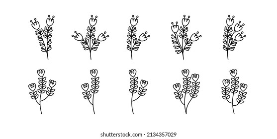 Botanical Plant Illustration-realated vector element with line style. Perfect for any purpuse use. Decorative outline cector illustration. Botanical and flower circle frame.
