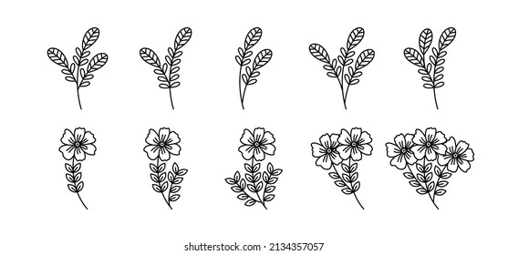 Botanical Plant Illustration-realated vector element with line style. Perfect for any purpuse use. Decorative outline cector illustration. Botanical and flower circle frame.
