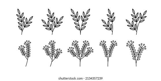 Botanical Plant Illustration-realated vector element with line style. Perfect for any purpuse use. Decorative outline cector illustration. Botanical and flower circle frame.
