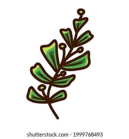 botanical plant leaf and berry vector illustration icon design template with doodle hand drawn fill color style