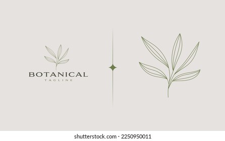 Botanical Plant Logo Template. Universal creative premium symbol. Vector illustration. Creative Minimal design template. Symbol for Corporate Business Identity