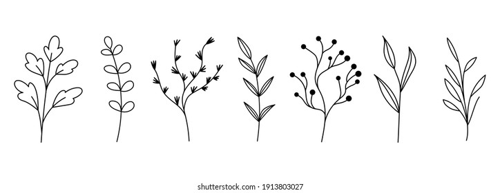 Botanical Plant Set. Abstract Minimalist Floral Collection, Creative Leaf Art For Print, Tattoo. Vector Illustration