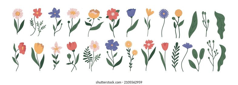 planta botánica simple vectorial dibujos de flores de doodle, plantas de primavera y verano y follaje aislados en fondo blanco 