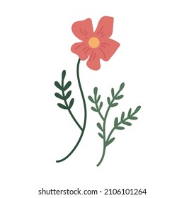 planta botánica simple vectorial dibujos de flores de doodle, plantas de primavera y verano y follaje aislados en fondo blanco