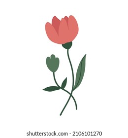 planta botánica simple vectorial dibujos de flores de doodle, plantas de primavera y verano y follaje aislados en fondo blanco