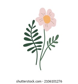 botanical plant simple vector doodle flower illustrations, spring and summer plants and foliage isolated on a white background