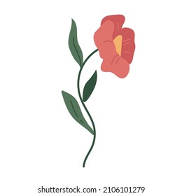 planta botánica simple vectorial dibujos de flores de doodle, plantas de primavera y verano y follaje aislados en fondo blanco