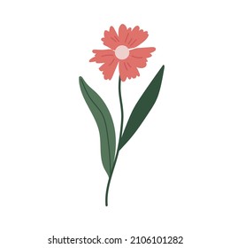 botanical plant simple vector doodle flower illustrations, spring and summer plants and foliage isolated on a white background