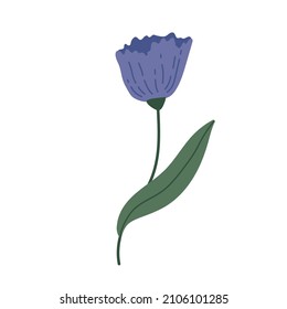 botanical plant simple vector doodle flower illustrations, spring and summer plants and foliage isolated on a white background